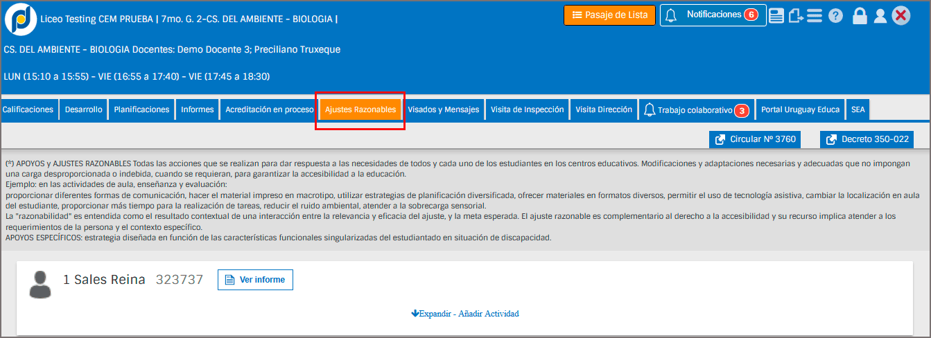 Imagen de pestaña ajustes razonables