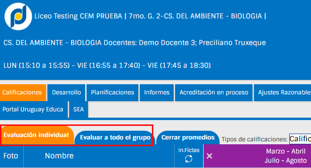 Imagen evaluación individual